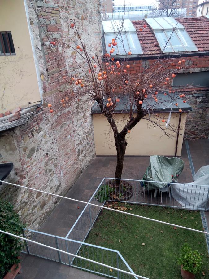Appartamento Rifredi Florence Ngoại thất bức ảnh
